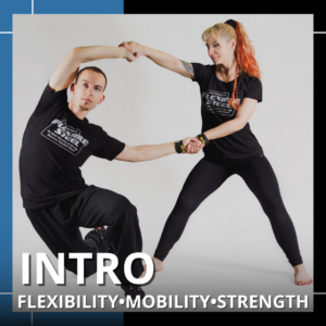 Flexible Steel  Intro Workshop October 18 - PLOVDIV